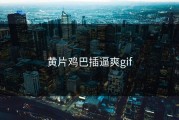 黄片鸡巴插逼爽gif