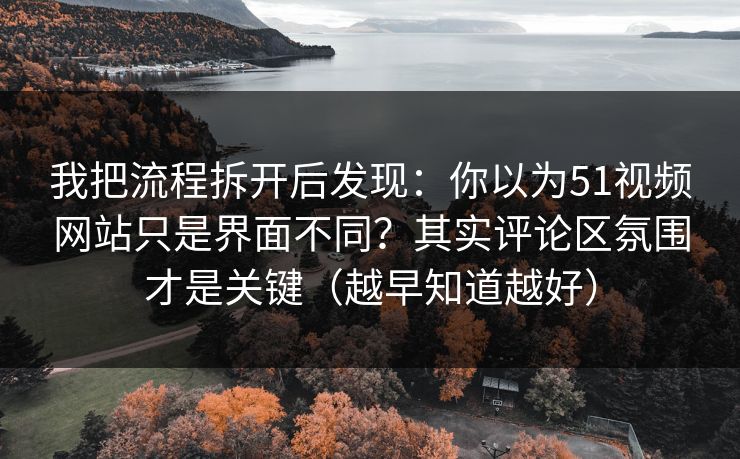 我把流程拆开后发现：你以为51视频网站只是界面不同？其实评论区氛围才是关键（越早知道越好）