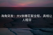 海角突发：大V亲曝花絮全程，真相让人瞠目