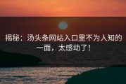 揭秘：汤头条网站入口里不为人知的一面，太感动了！