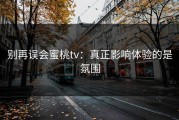 别再误会蜜桃tv：真正影响体验的是氛围