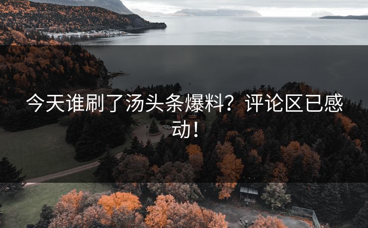 今天谁刷了汤头条爆料？评论区已感动！