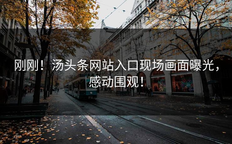 刚刚！汤头条网站入口现场画面曝光，感动围观！