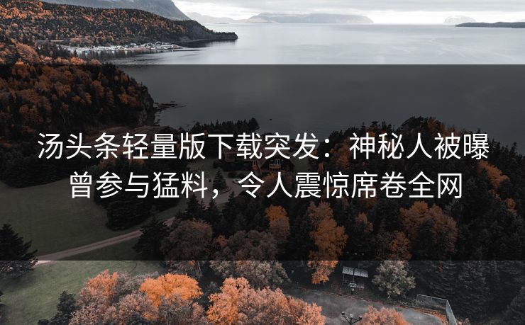 汤头条轻量版下载突发：神秘人被曝曾参与猛料，令人震惊席卷全网
