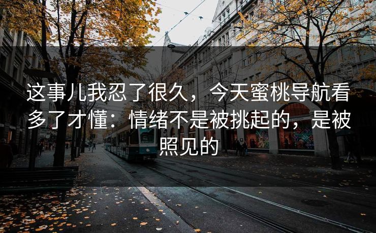 这事儿我忍了很久，今天蜜桃导航看多了才懂：情绪不是被挑起的，是被照见的