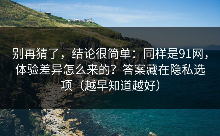 别再猜了，结论很简单：同样是91网，体验差异怎么来的？答案藏在隐私选项（越早知道越好）